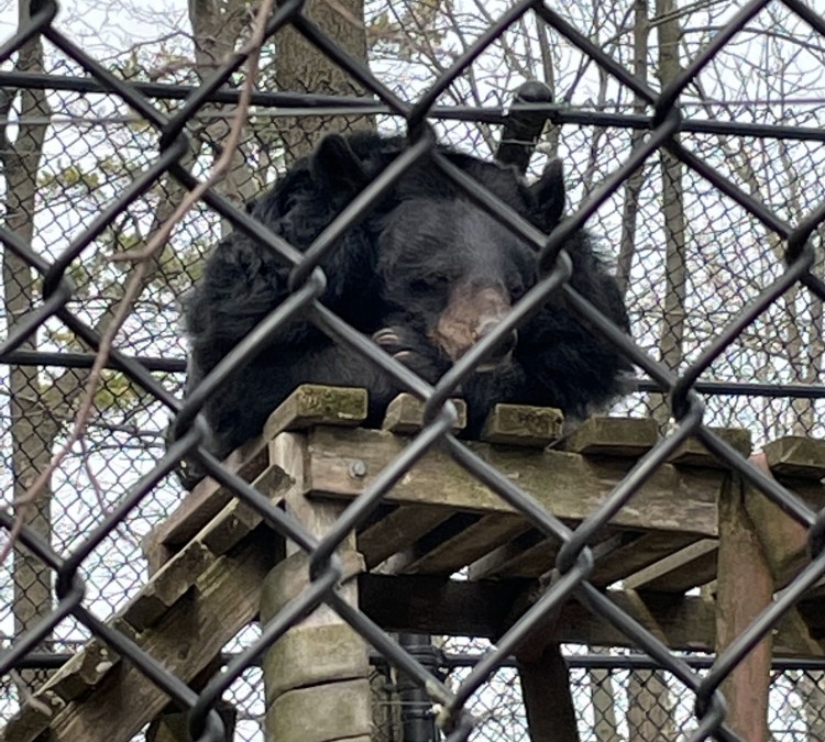 Lincoln Park Zoological Society (Manitowoc,&nbspWI)